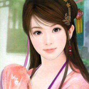 Aide  Studio Developer’s [international]