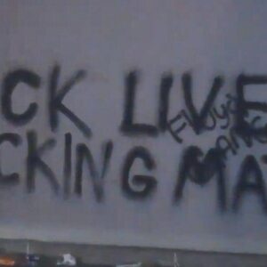 The Black Lives Revolution (BLM)