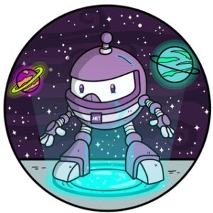 .net developer